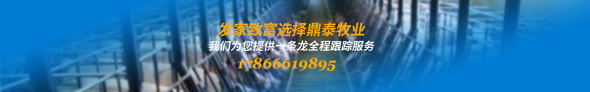 AG真人·(中国)官方网站 - 2024 App STORE_image3163